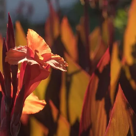 Casa Vina: A Spectacular Away From It 빌라 라오로타바