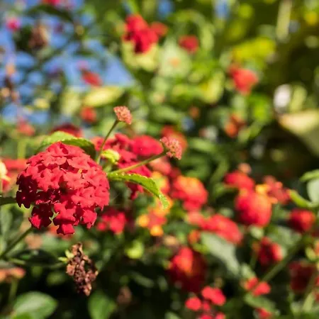 빌라 Casa Vina: A Spectacular Away From It 라오로타바