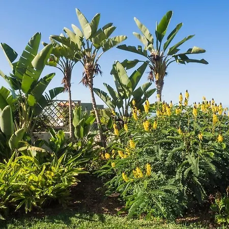 Casa Viña: A Spectacular Away From It Villa La Orotava