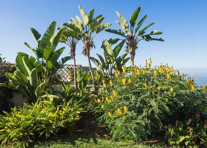 Casa Vina: A Spectacular Away From It Villa La Orotava