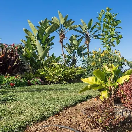 Villa Casa Vina: A Spectacular Away From It *